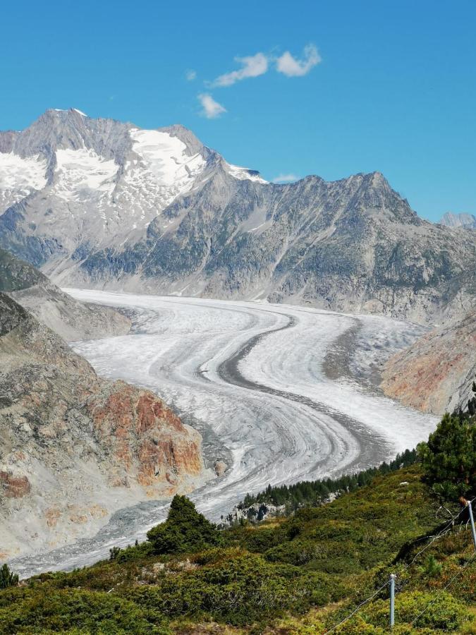 Haus Seiler Leilighet Goms Eksteriør bilde